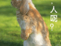人呢